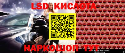 a pvp Рыбинск