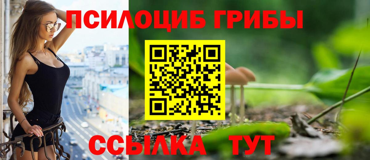 Галлюциногенные грибы мицелий Приморско-Ахтарск