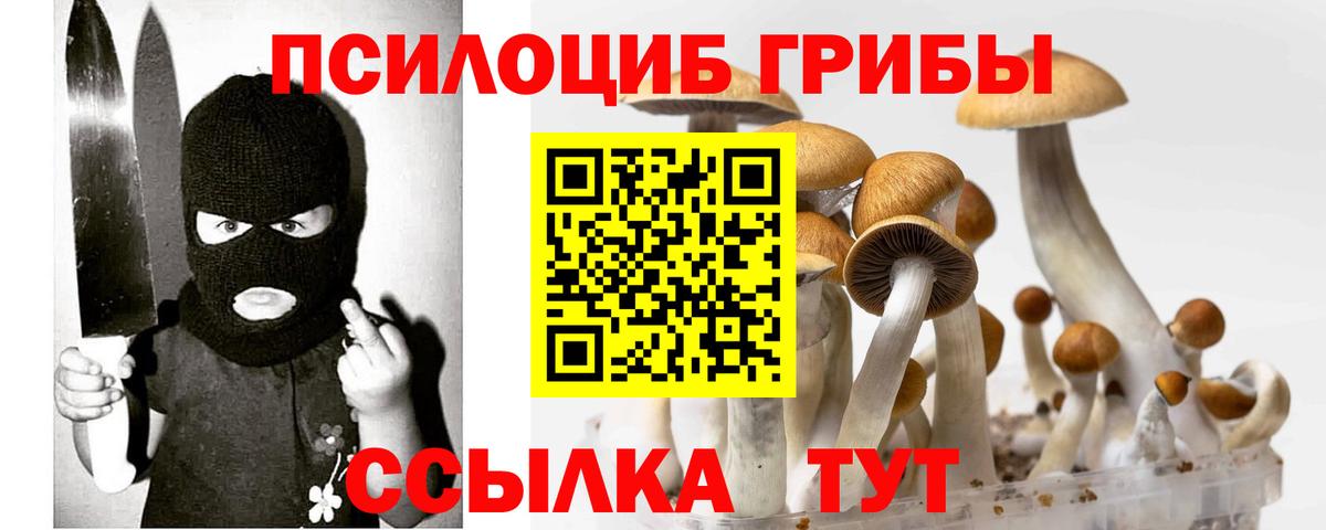 Псилоцибиновые грибы Psilocybe  где продают   Приморско-Ахтарск  Вход с VPN 